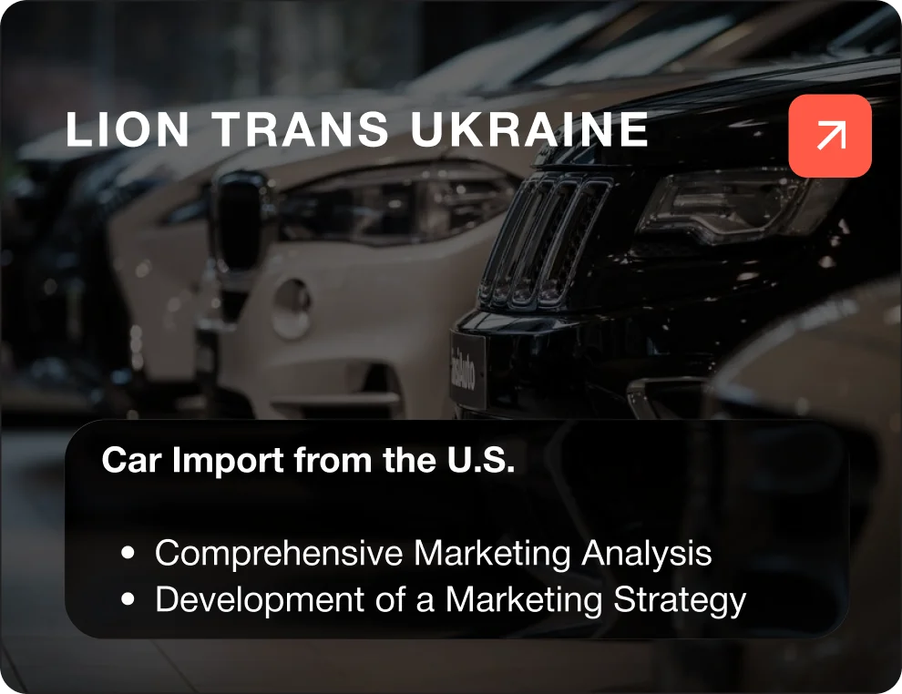 Marketing Analysis and Strategy Development for Lion Trans Ukraine
